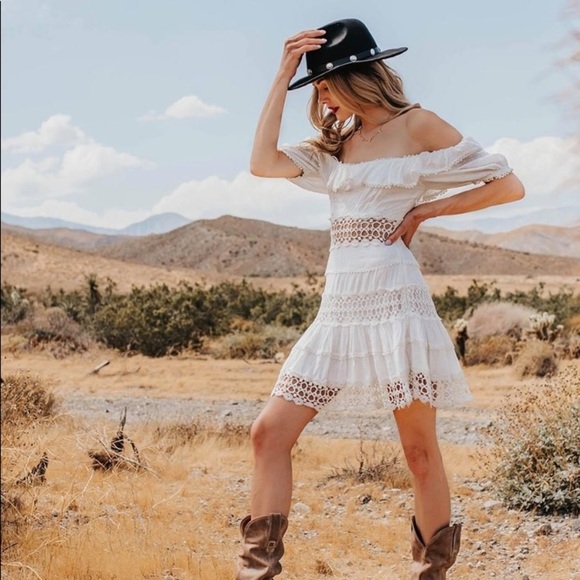 Falcon - Picture 10 of 11